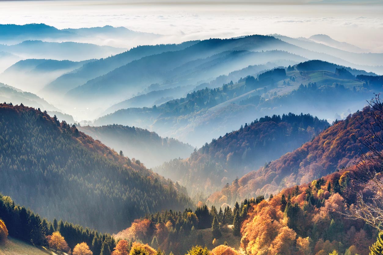 Le foret noir dans les montagnes d'Allemagne