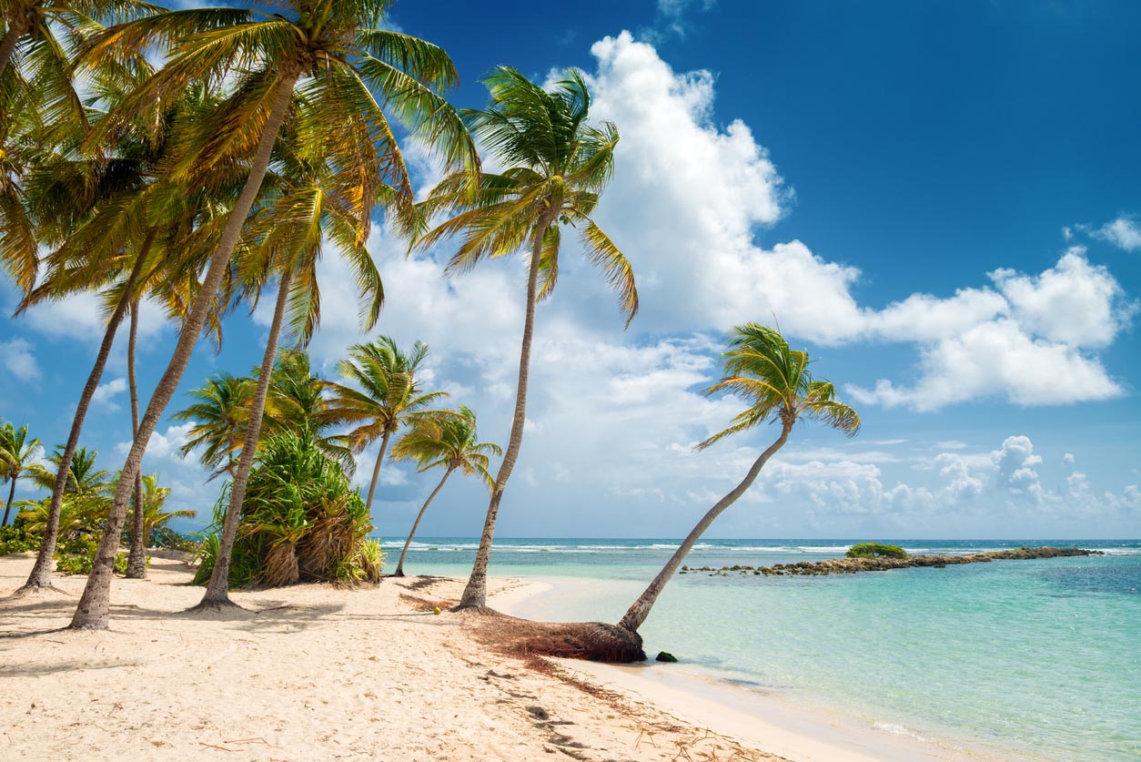 Plage de Guadeloupe