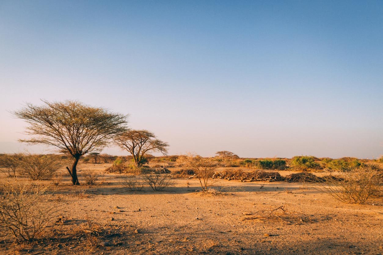 Paysage d'Afrique du Sud