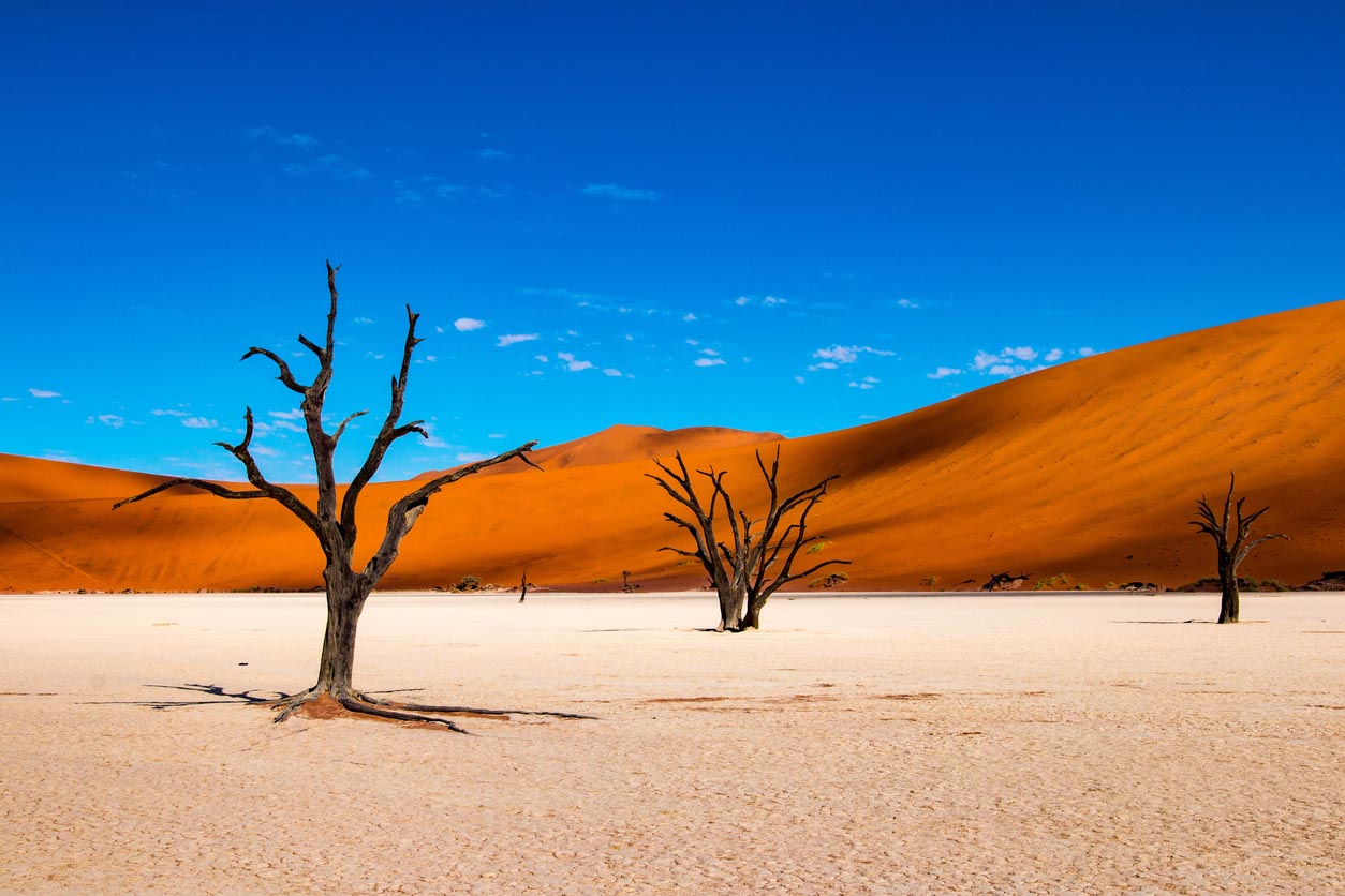 Désert de Namibie