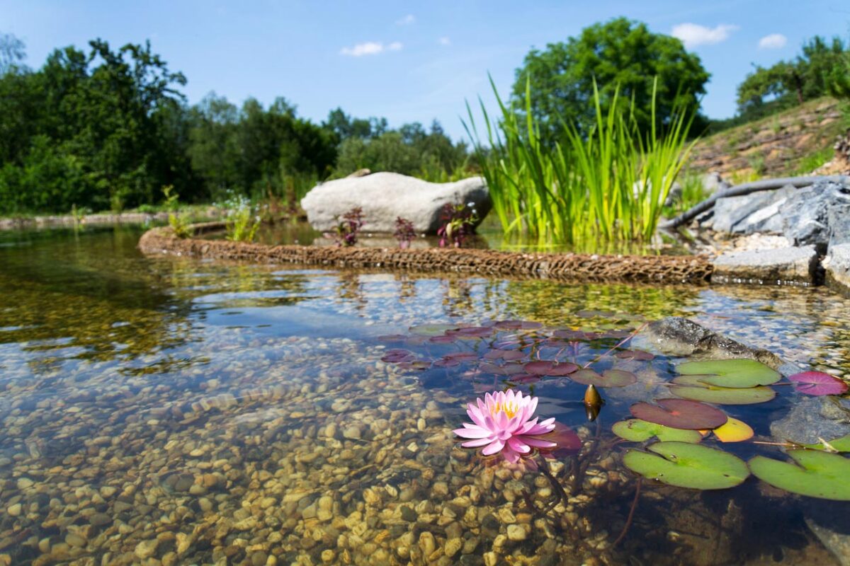 Piscine naturelle avec galet