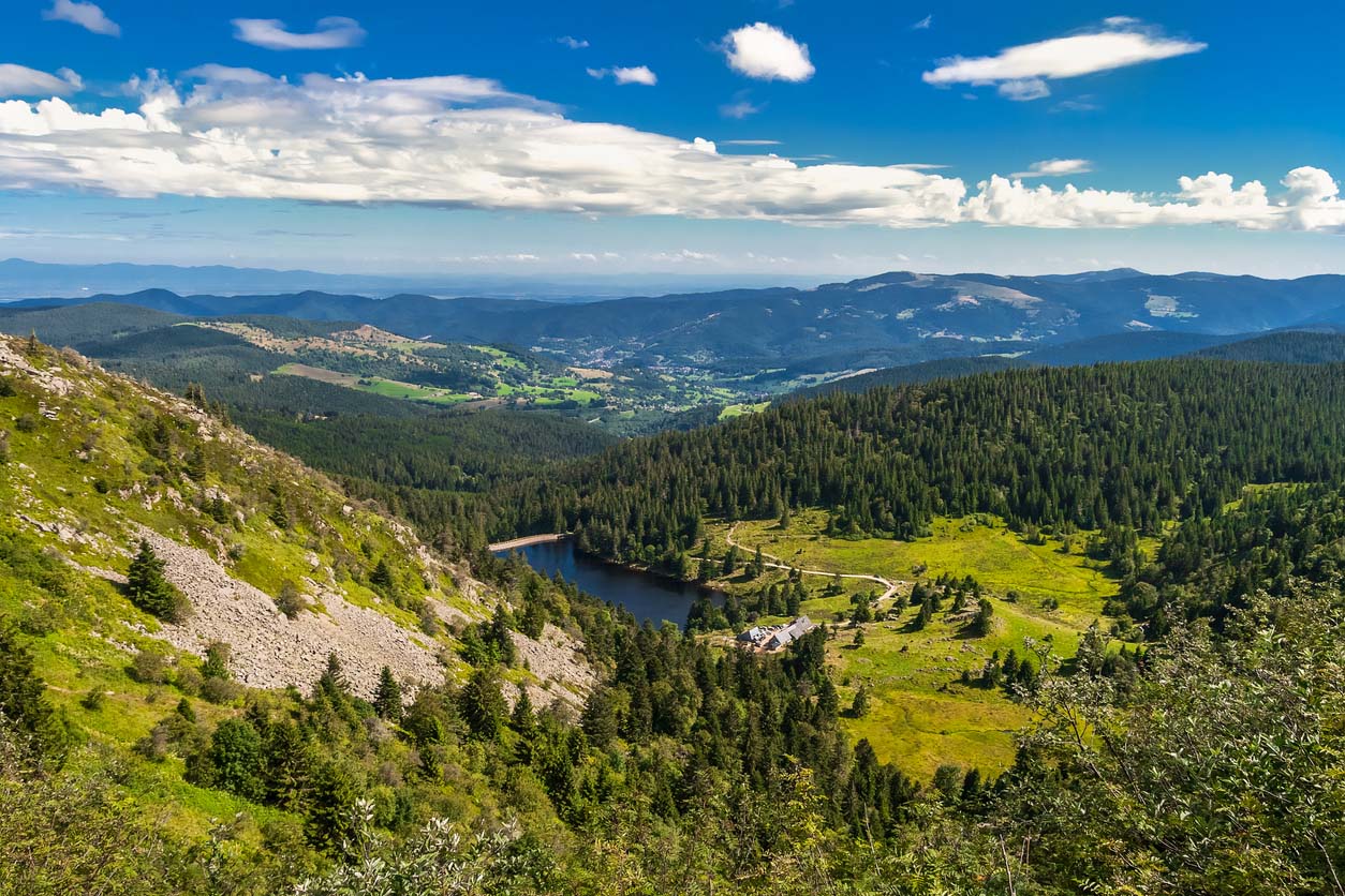 Paysage des Vosges