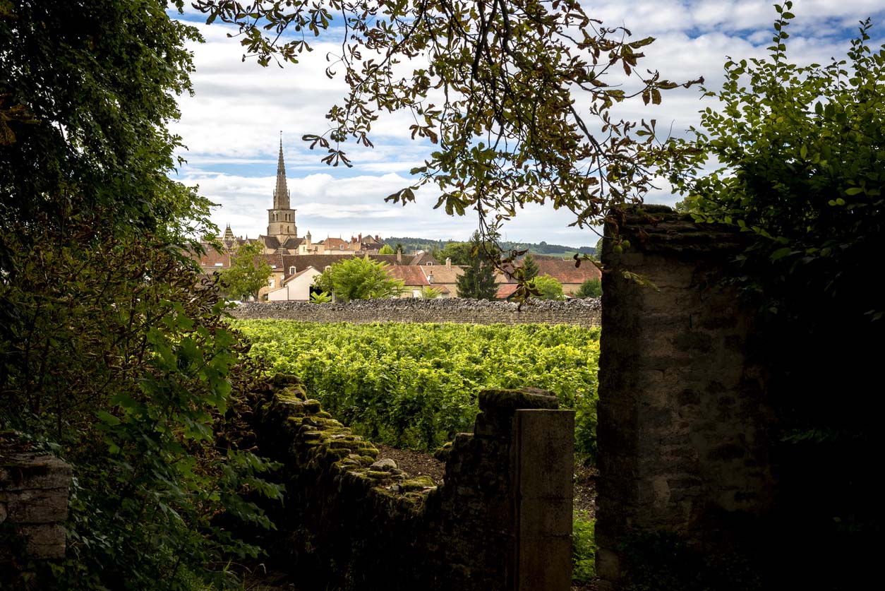 Meursault Bourgogne