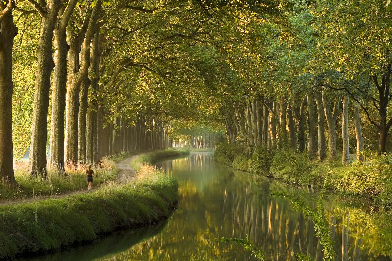 Canal Du Midi